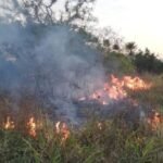 Incendios forestales en el departamento de Santa Cruz, que ingresa en la época de quemas 2022 FOTO: Gobernación de Santa Cruz