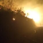 El fuego arrasa hectáreas en La Asunta de los Yungas de La Paz (26 de noviembre). Radio La Asunta