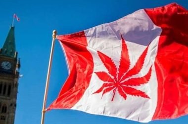 Canadá avanza hacia la legalización de las drogas.
